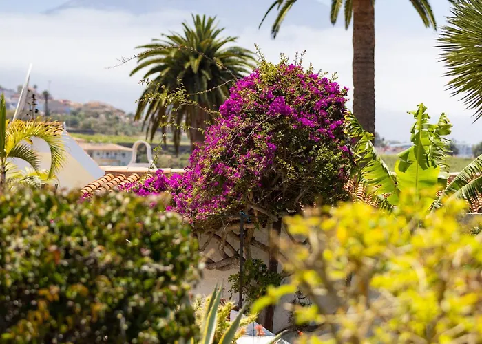 Apartment Live La Victoria Lovely La Palmita